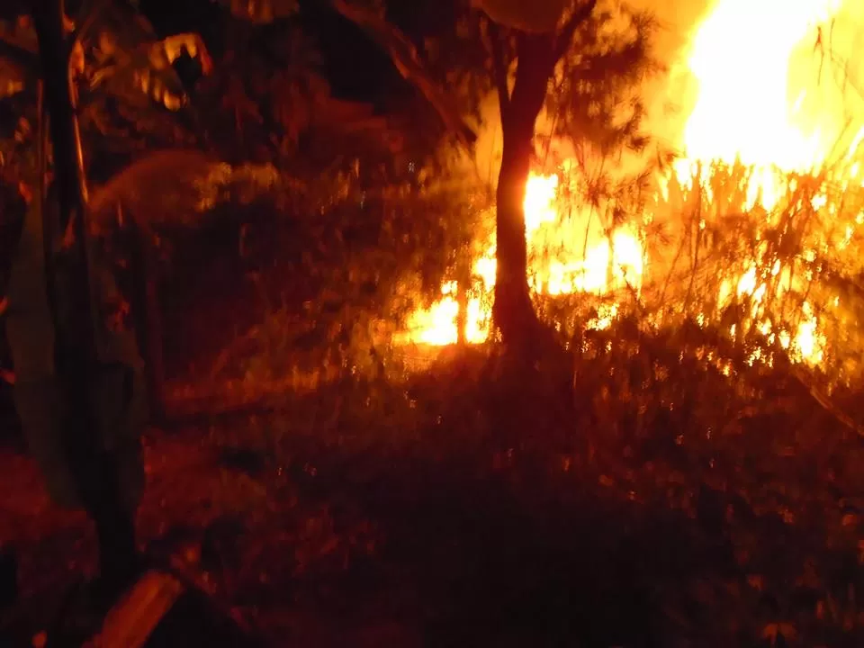 Incêndio causado por raio atinge área de pastagem em Nova Mamoré