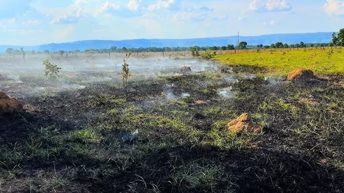 Incêndio causado por raio atinge área de pastagem em Nova Dimensão
