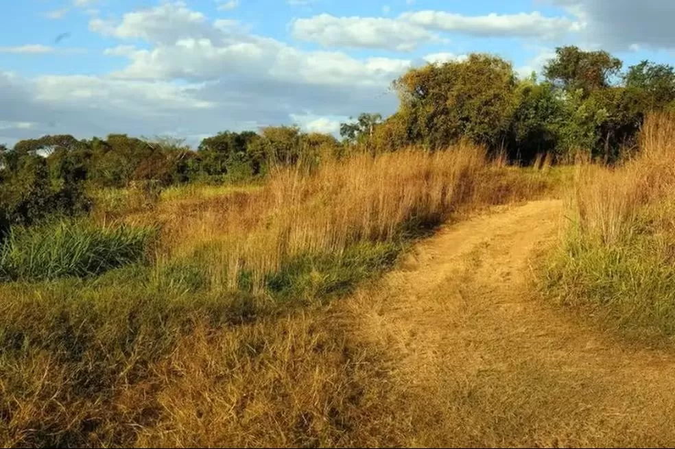 Justiça determina desocupação de fazenda avaliada em R$ 22 milhões em Rondônia