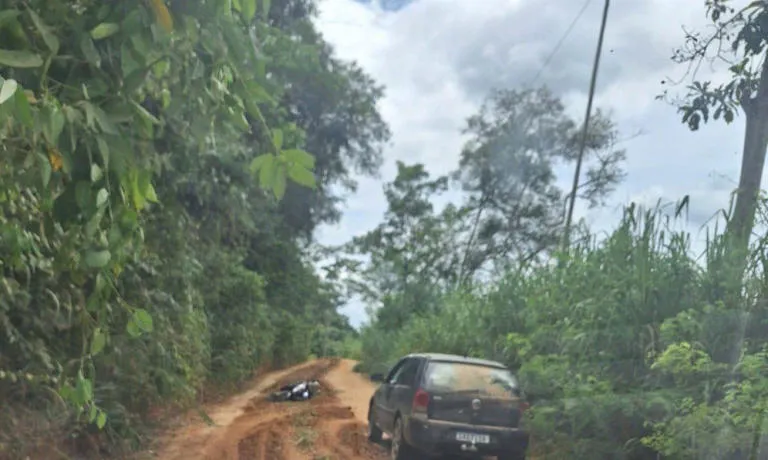 Homem morre após ataque de enxame de abelhas selvagens em estrada de MG