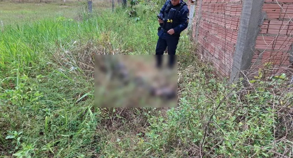 Corpo é encontrado em área de mata na zona Leste de Porto Velho